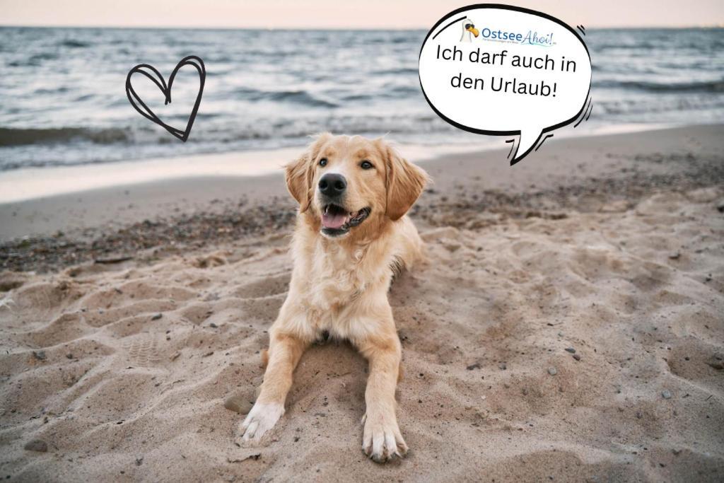 Appartamento 3sz Penthaus Luna Am Sandstrand Mit Meerblick & Balkon *